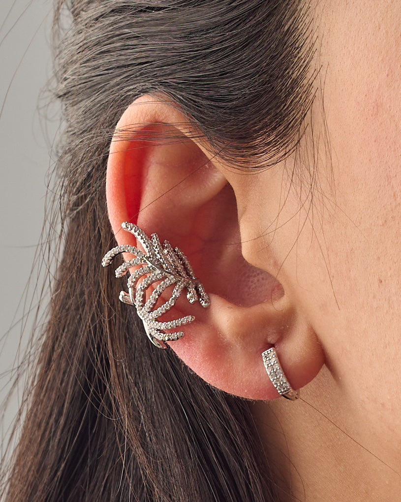 Ear cuff & earrings