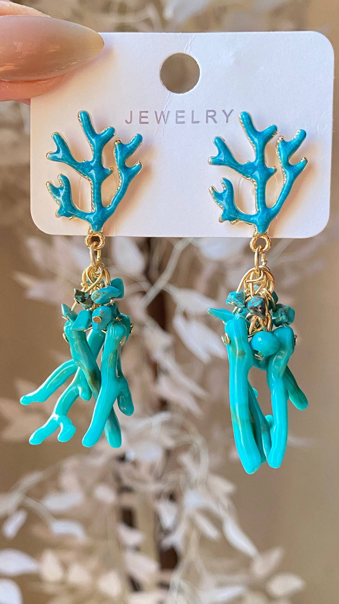 Earrings