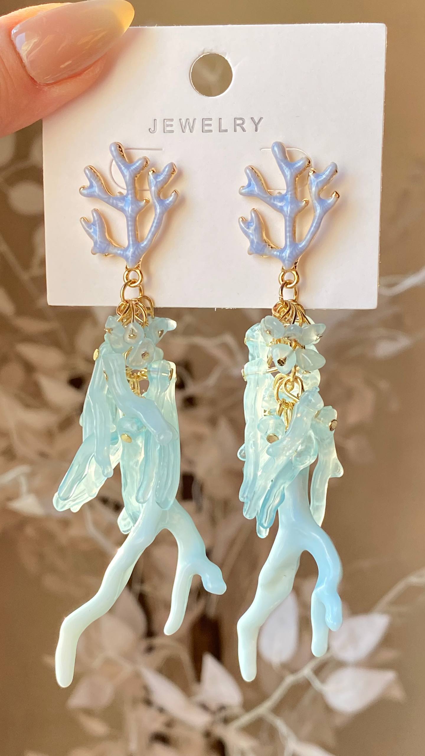 Earrings