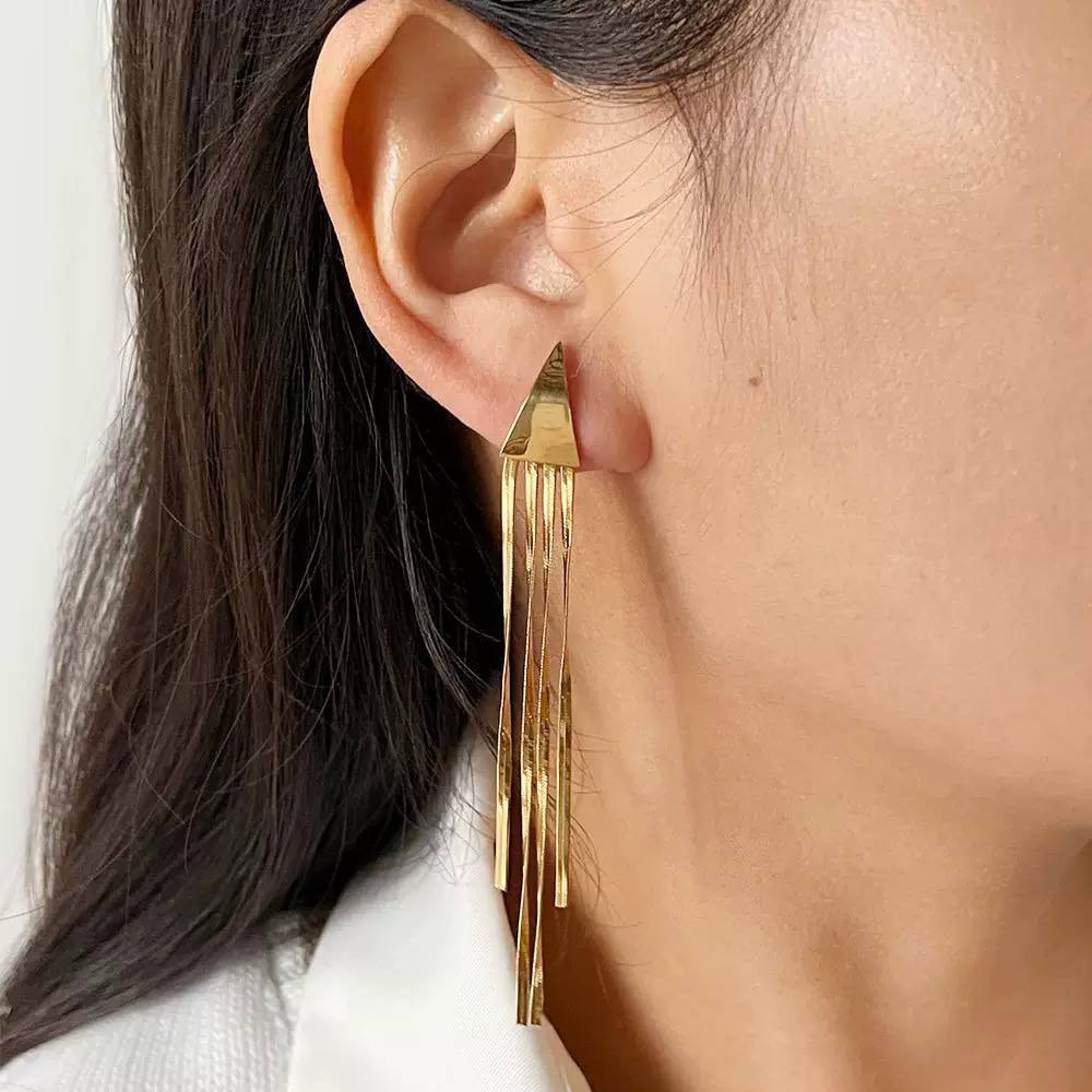 Long chain earrings